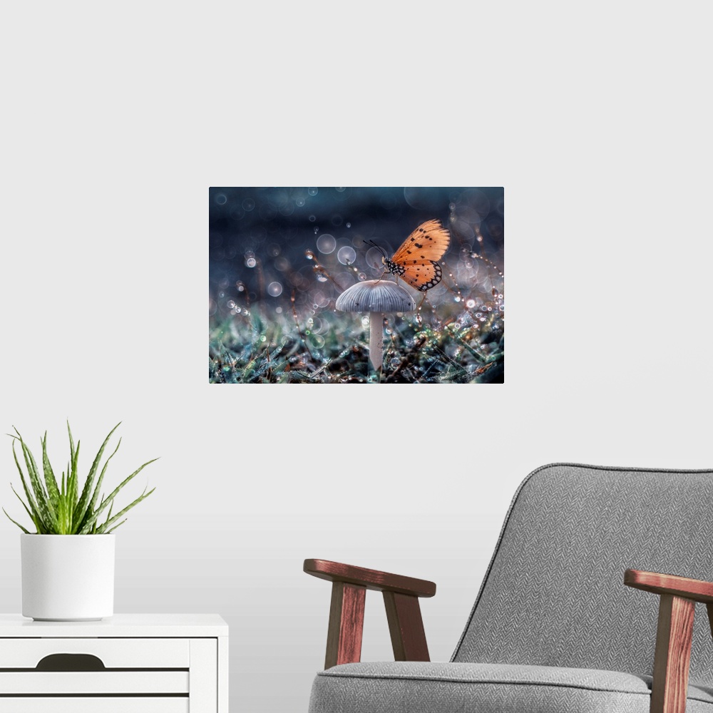A modern room featuring Butterfly And Mushroom