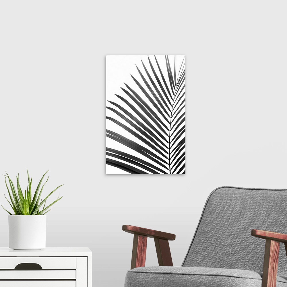 A modern room featuring BW Palm Leaf