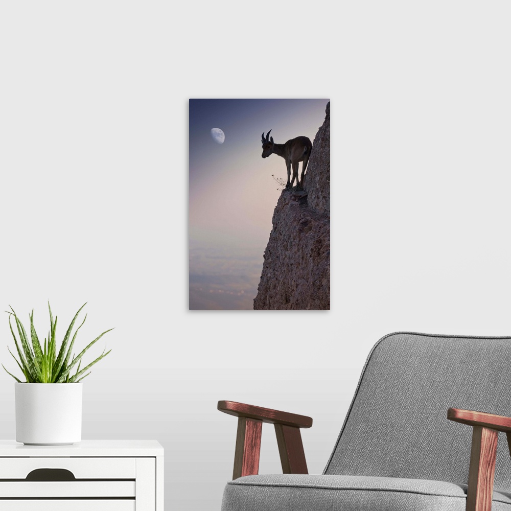 A modern room featuring A mountain goat balances precariously on a thin ledge on the side of a cliff, wit hthe moon visib...