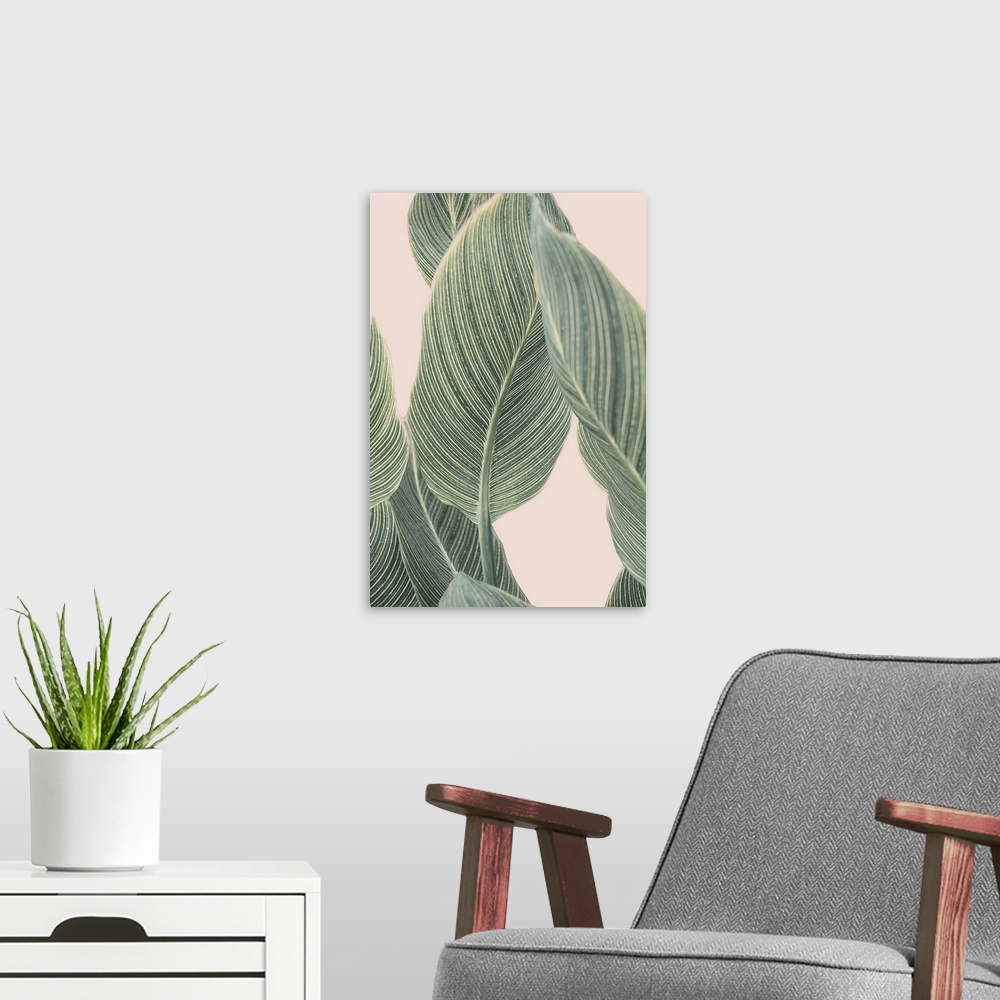 A modern room featuring A very contemporary photograph of tall calla leaves in muted tones on a pink background