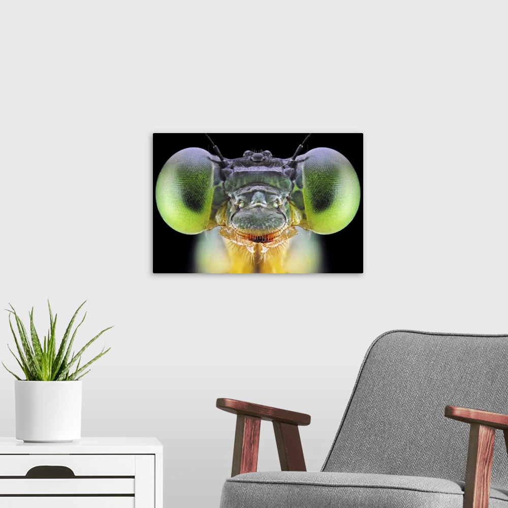 A modern room featuring An extreme close-up of the face of an insect with bright green eyes.