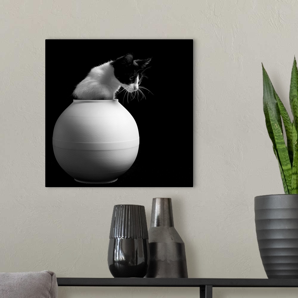 A modern room featuring A black and white domestic cat poking out of a round white vase.