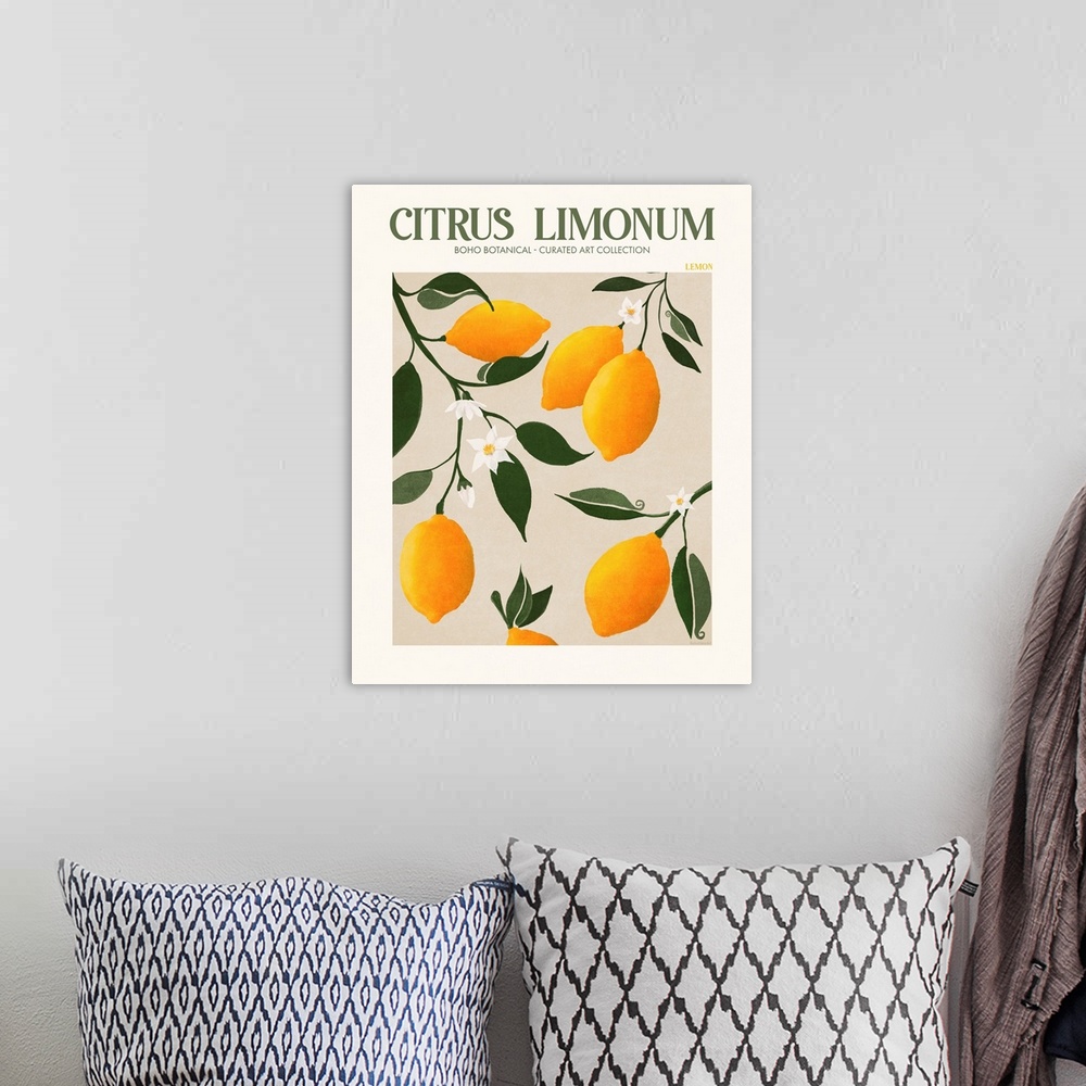 A bohemian room featuring Citrus Limonum
