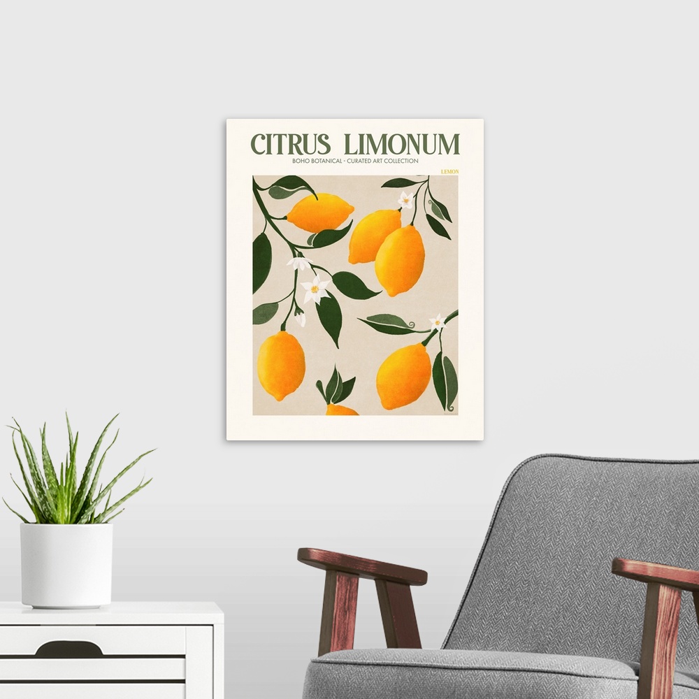 A modern room featuring Citrus Limonum