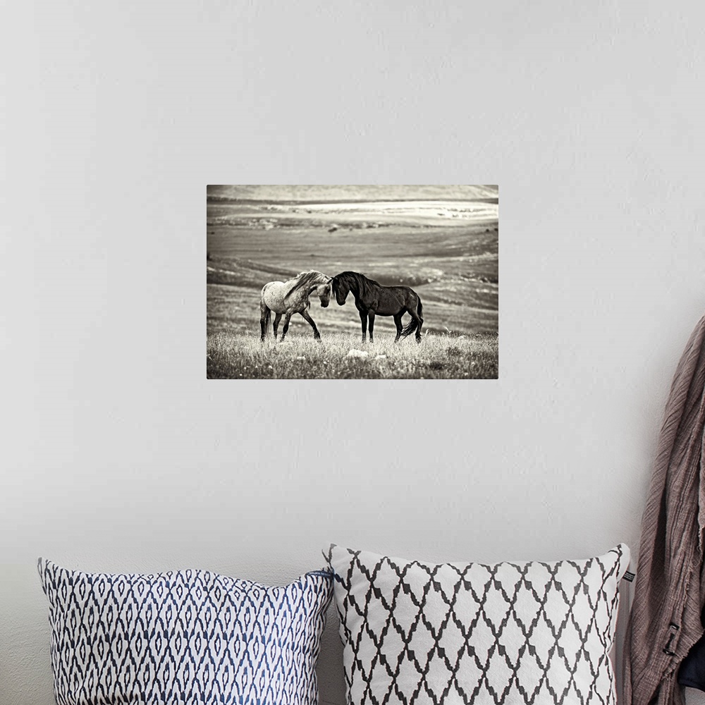 A bohemian room featuring A black and white photograph of two wild horses meeting face to face.