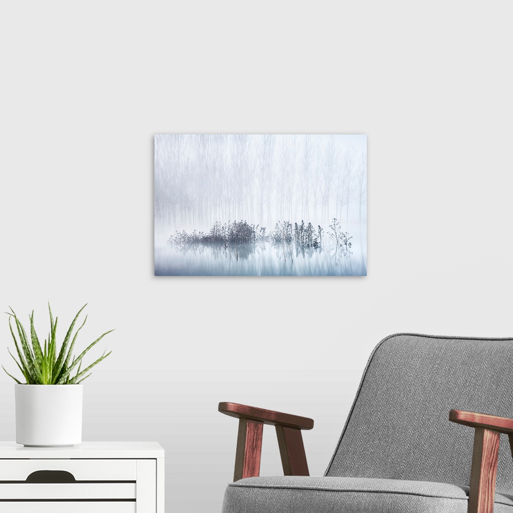 A modern room featuring Cold & Foggy Morning In The Swamp