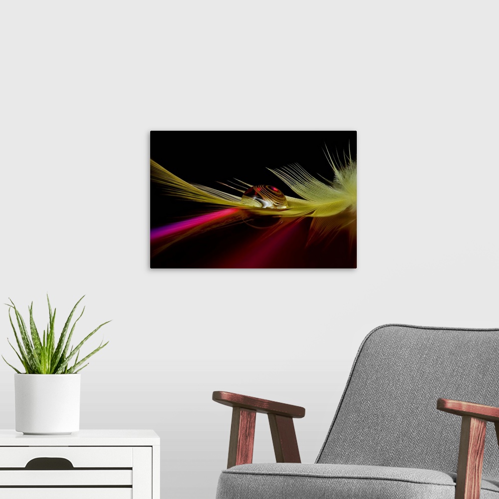A modern room featuring A macro image of a droplet of water resting on a feather, with a distorted reflection.