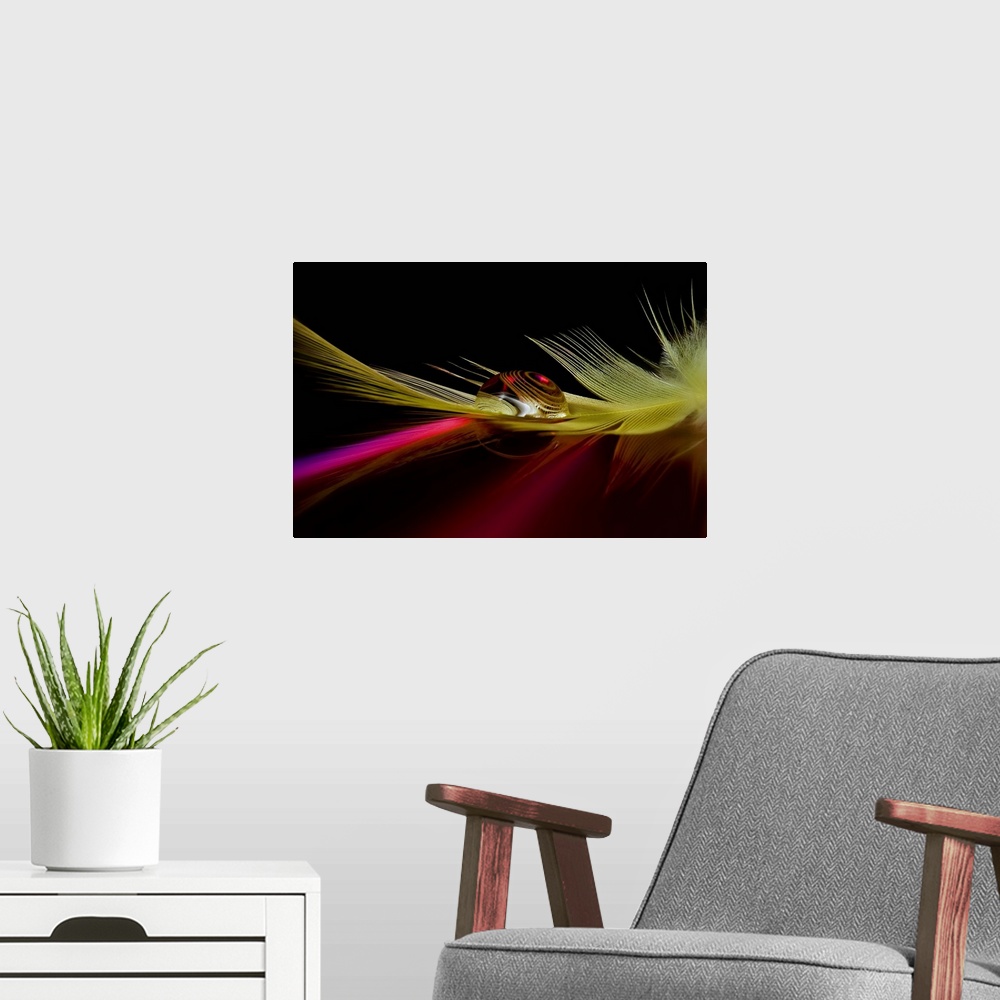 A modern room featuring A macro image of a droplet of water resting on a feather, with a distorted reflection.