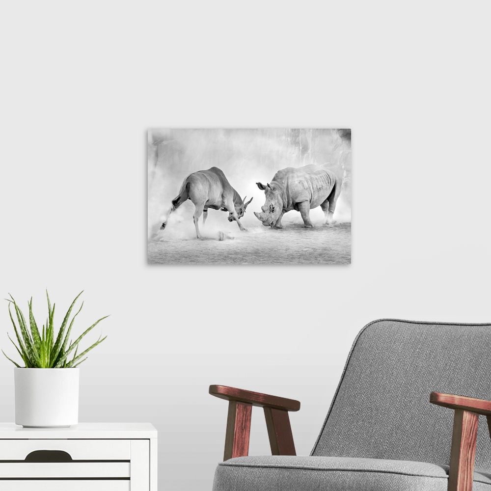 A modern room featuring Black and white image of a standoff between an antelope and a rhinoceros.