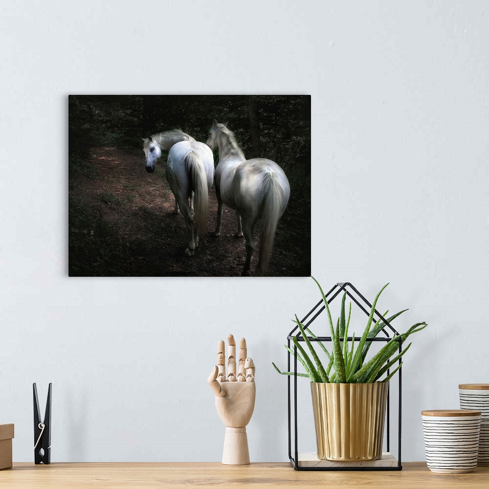 A bohemian room featuring Two white horses walking in a forest, one turning its head to look behind.
