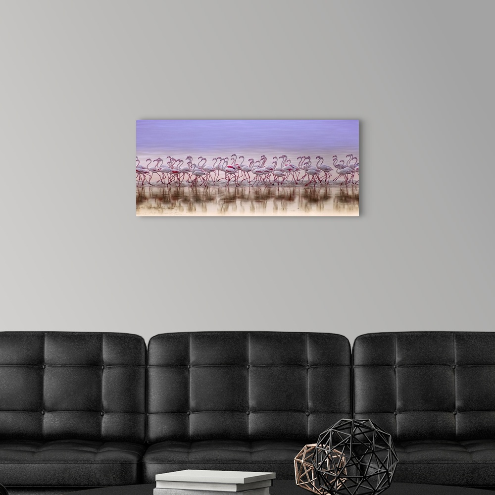 A modern room featuring Panoramic photograph of a flock of pink flamingos running down the seashore.