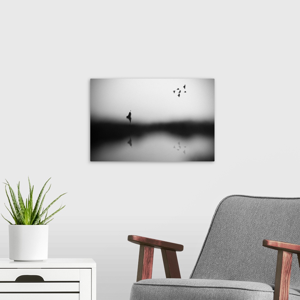 A modern room featuring Out of focus image of a figure walking by water with a small flock of birds overhead.