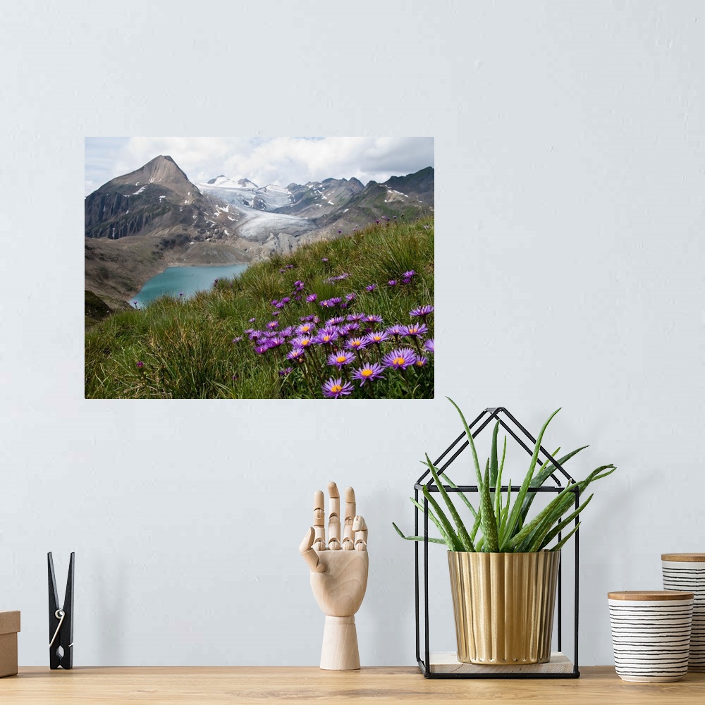 A bohemian room featuring A Swiss alps mountain range with a blue lake at the base of the range.