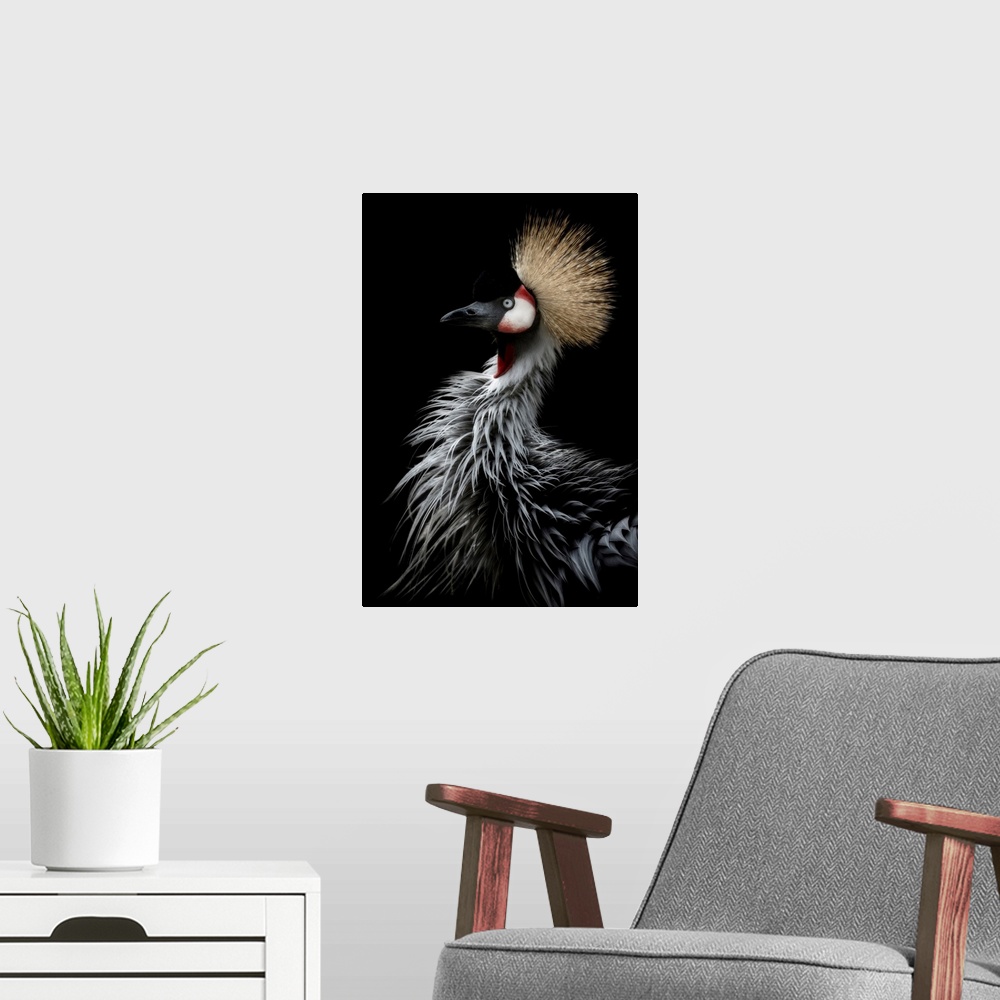 A modern room featuring Crowned Crane's Portrait