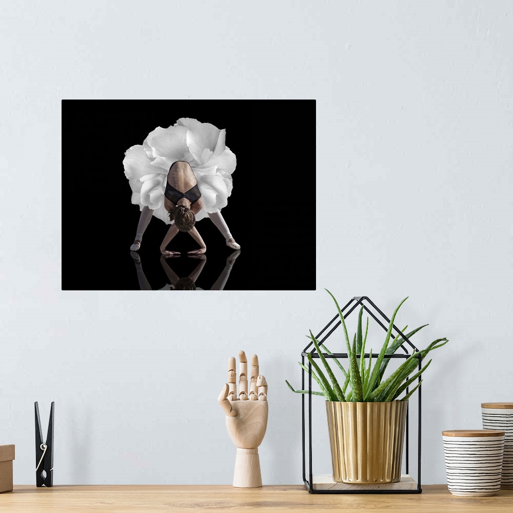 A bohemian room featuring Conceptual image of a ballerina leaning forward with her hands on the ground, with a flower for a...