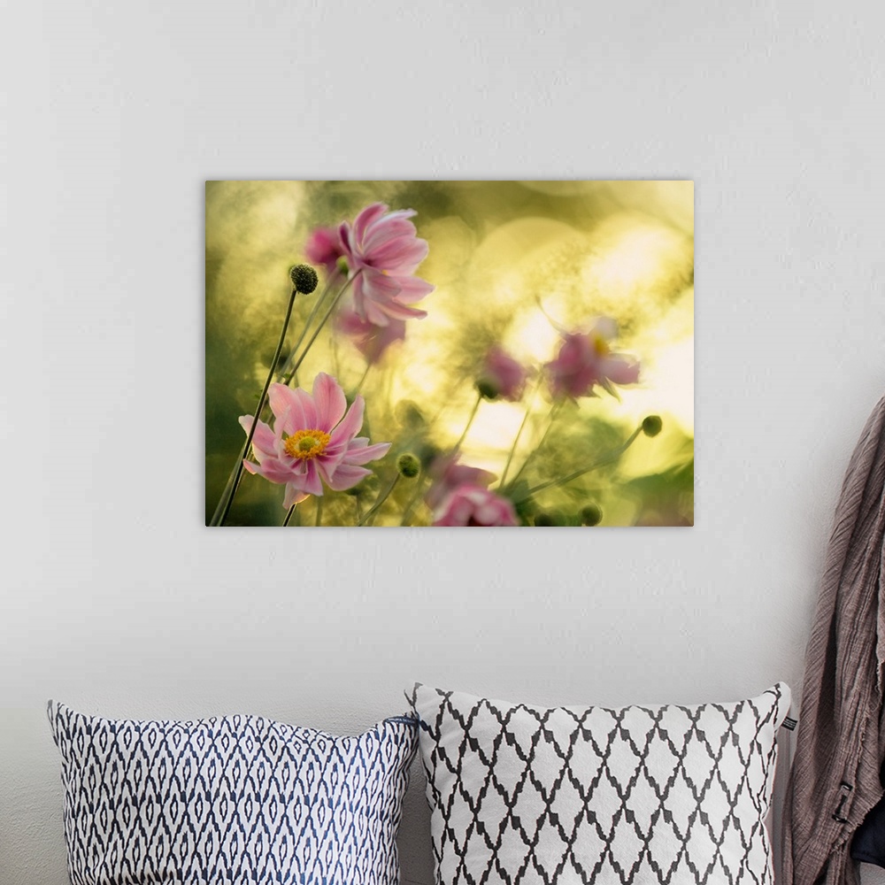 A bohemian room featuring Motion blur image of a group of pink flowers swaying in the wind.