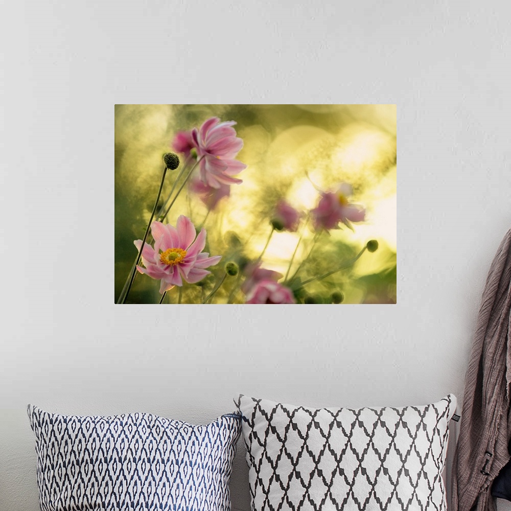 A bohemian room featuring Motion blur image of a group of pink flowers swaying in the wind.