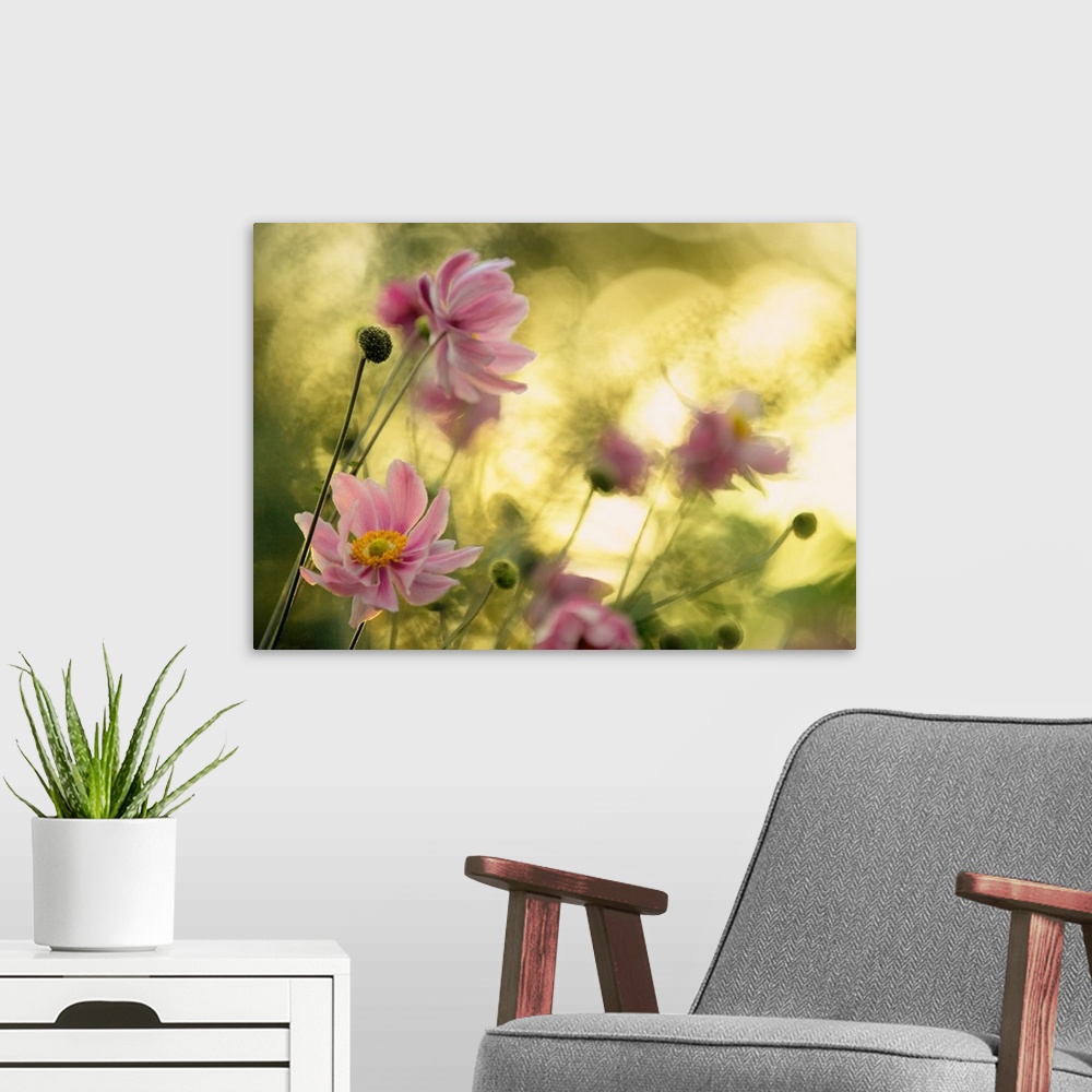 A modern room featuring Motion blur image of a group of pink flowers swaying in the wind.
