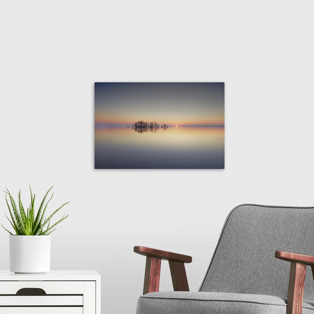 A modern room featuring Reflective photograph of cypress trees at sunrise on a calm day at Lake Mattamuskeet, North Carol...