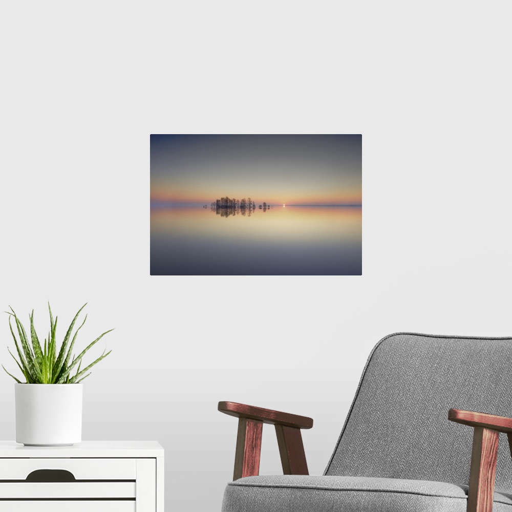 A modern room featuring Reflective photograph of cypress trees at sunrise on a calm day at Lake Mattamuskeet, North Carol...