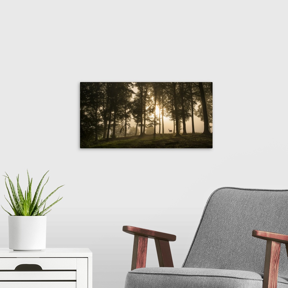 A modern room featuring Deer In The Morning Mist