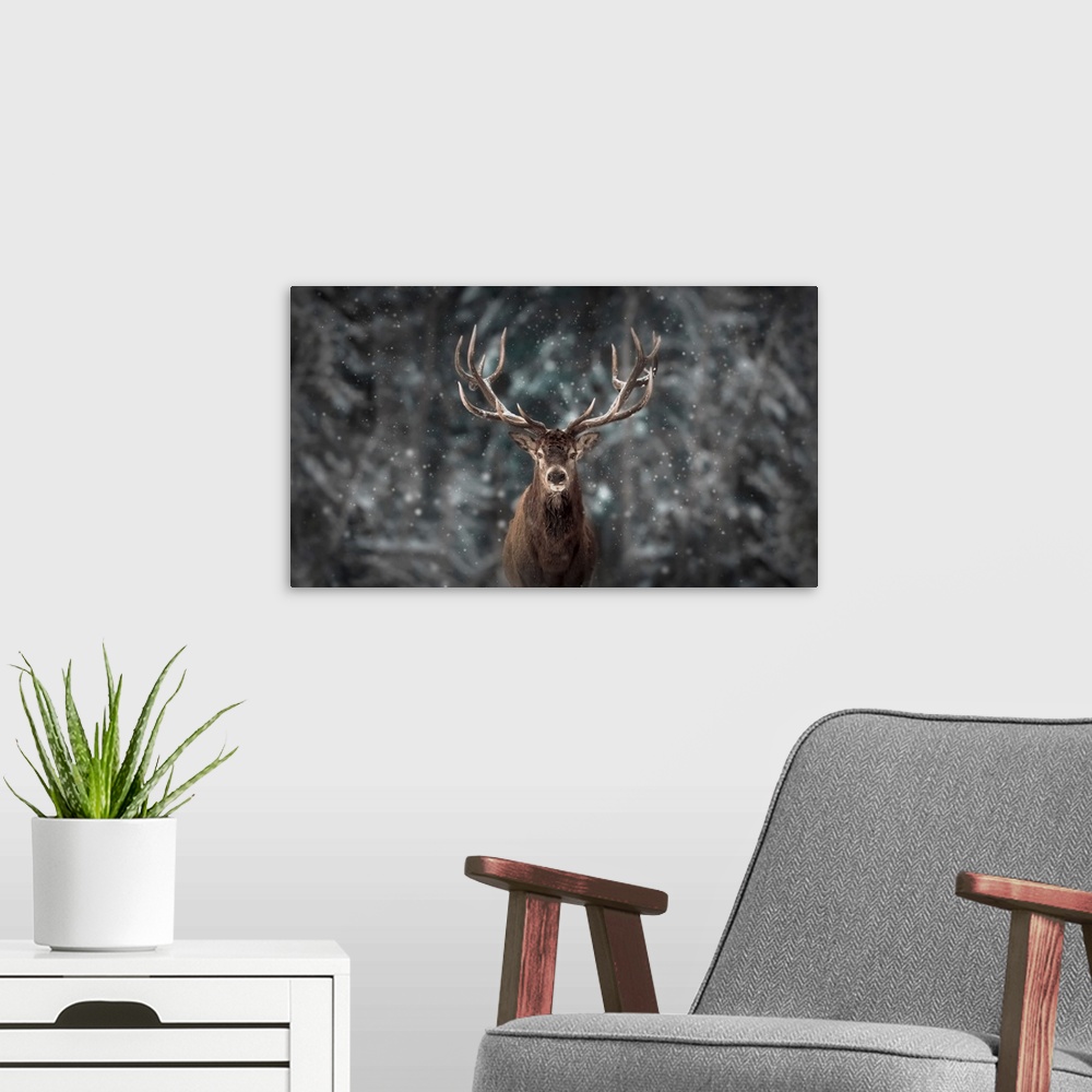 A modern room featuring Deer King