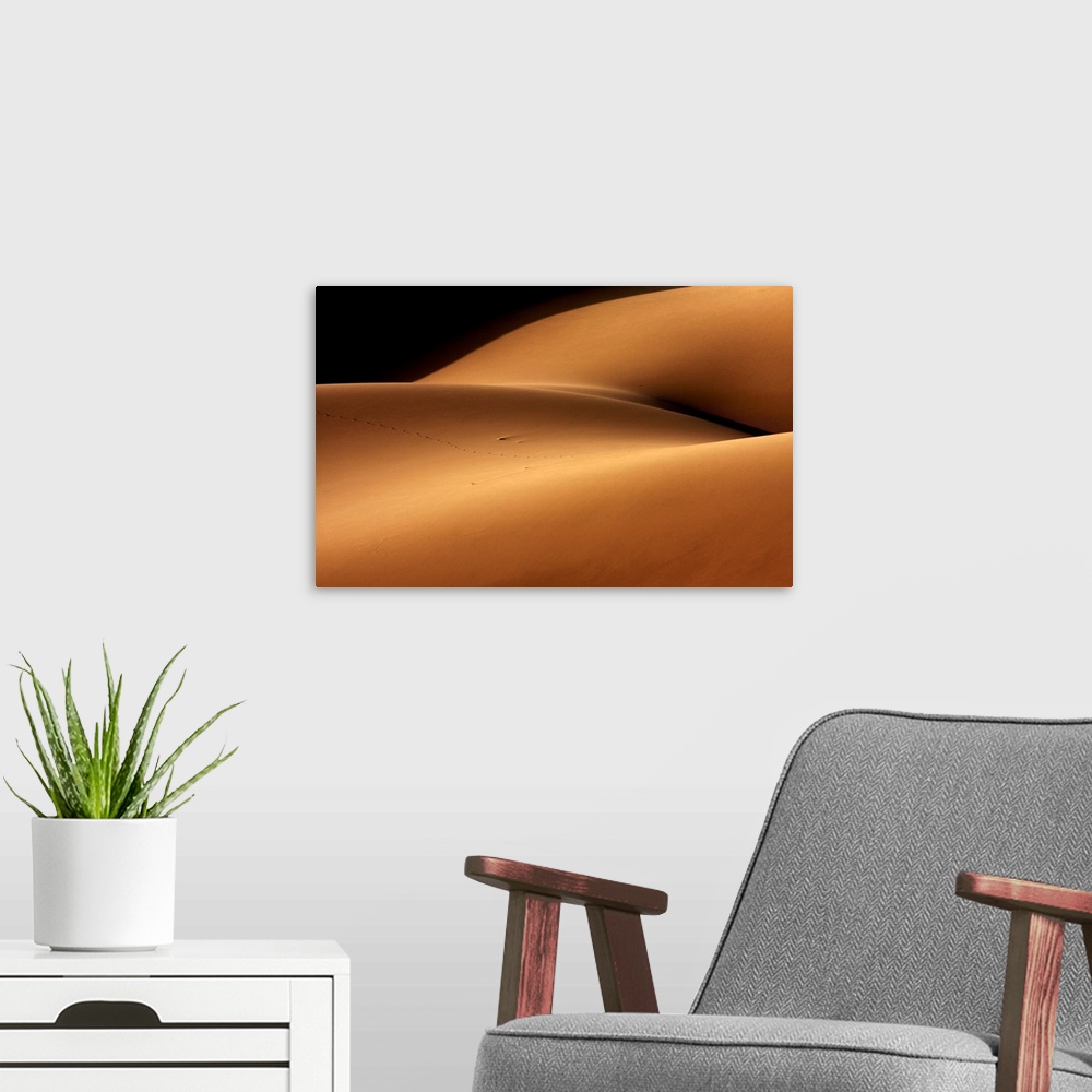 A modern room featuring Desert And The Human Torso