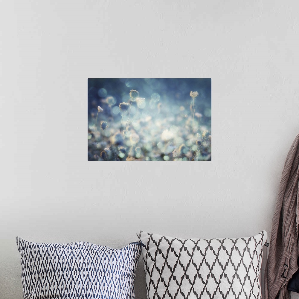 A bohemian room featuring Photograph of flowers and bokeh.