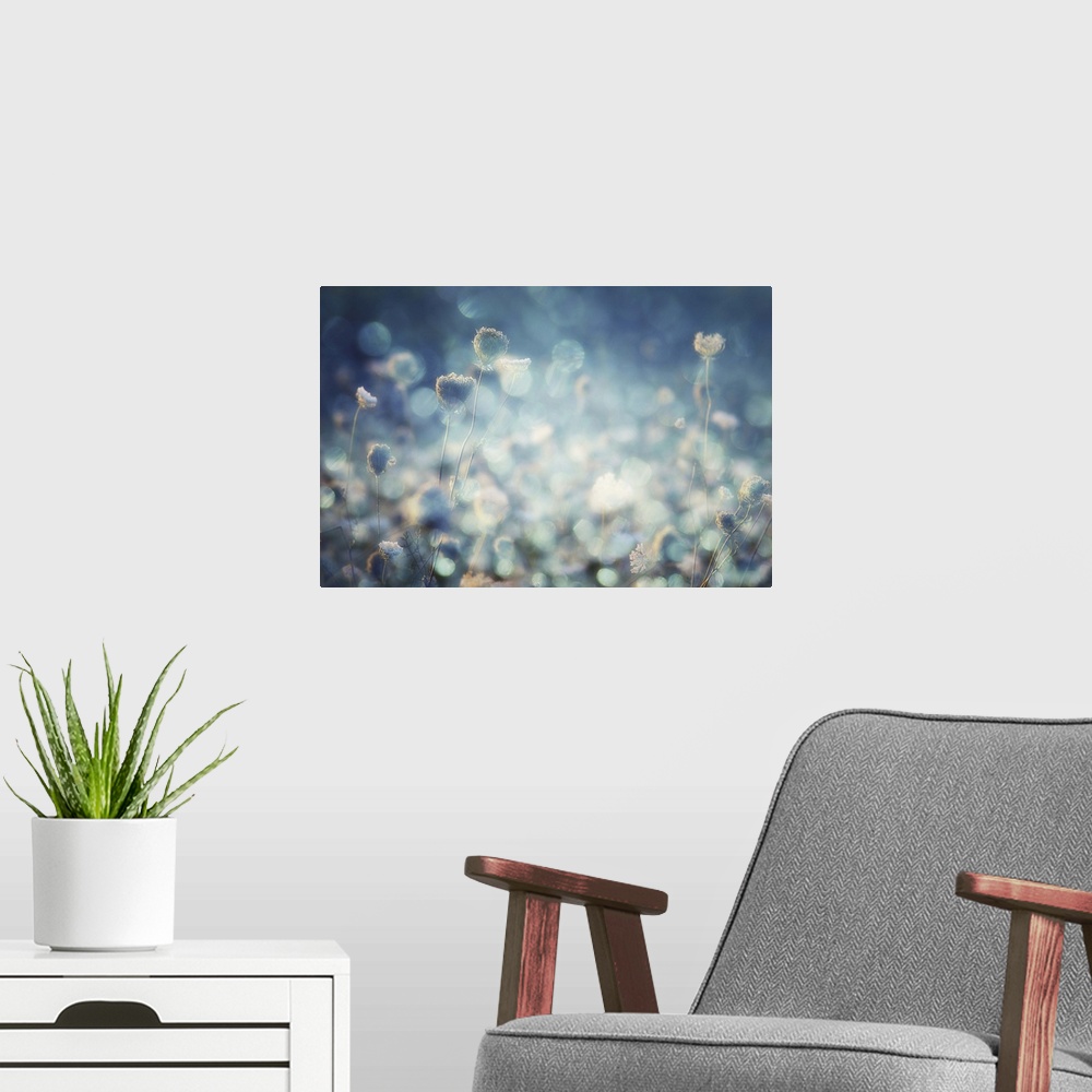 A modern room featuring Photograph of flowers and bokeh.