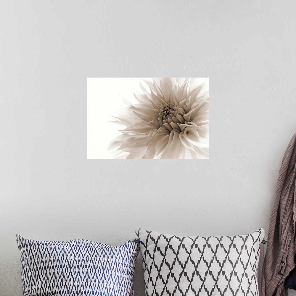 A bohemian room featuring Close-up photograph of a white flower against a white background.