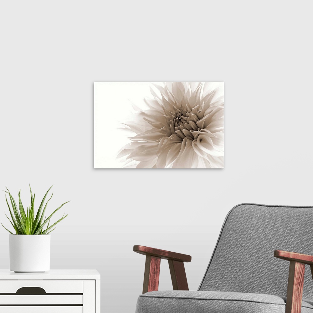 A modern room featuring Close-up photograph of a white flower against a white background.