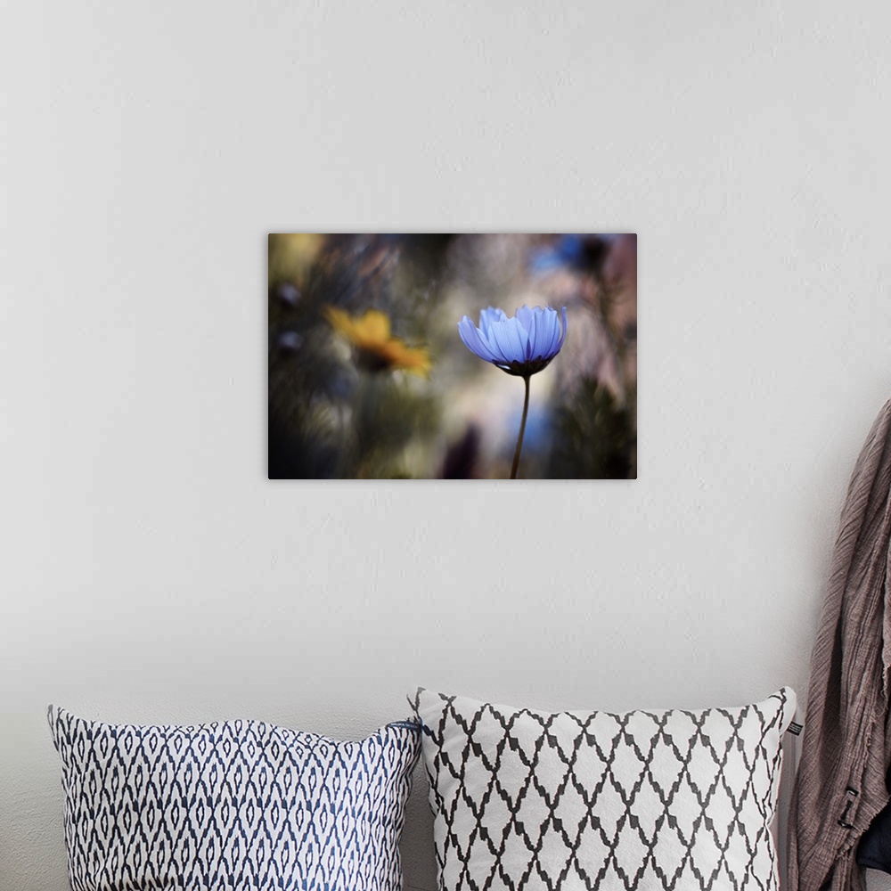A bohemian room featuring A vibrant photograph of a blue flower against a blurred background.