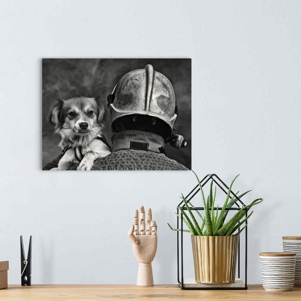 A bohemian room featuring A firefighter carries a dog rescued from a burning building.