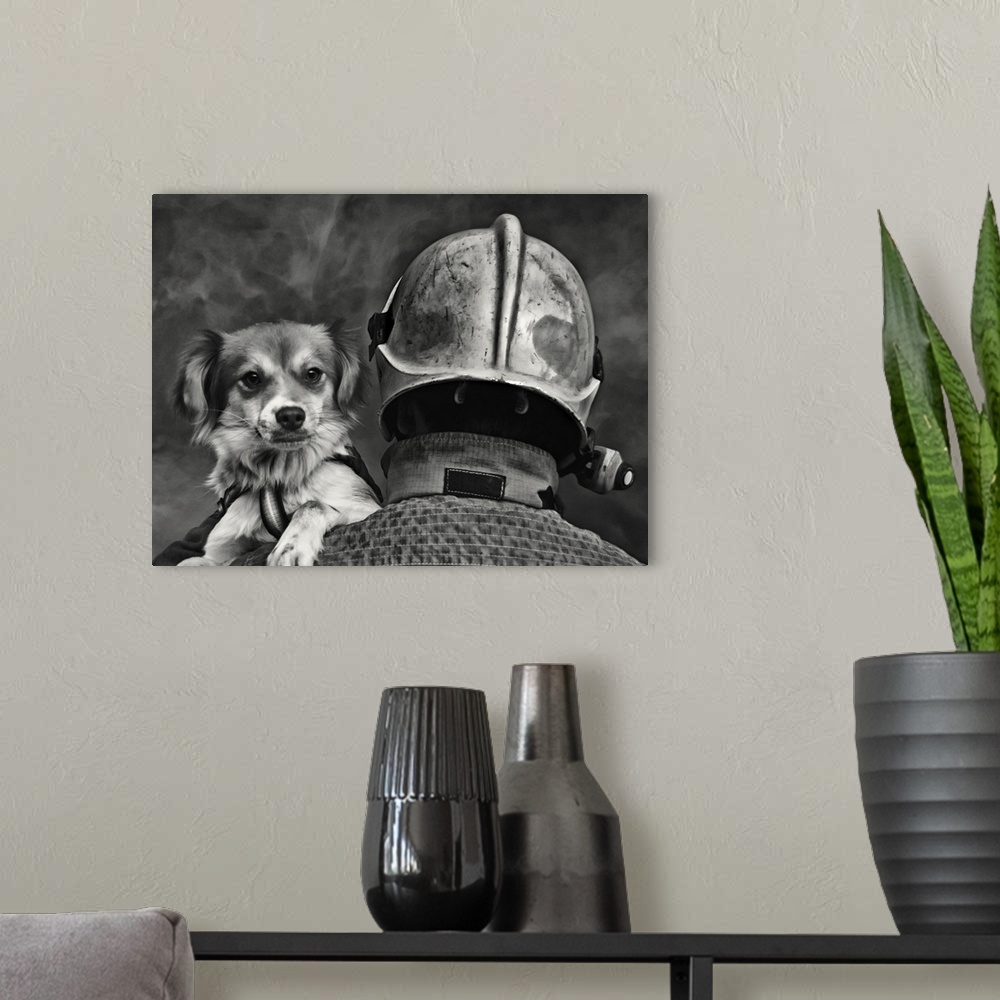 A modern room featuring A firefighter carries a dog rescued from a burning building.