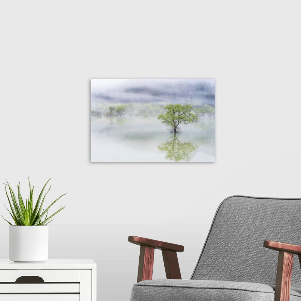 A modern room featuring Dreamy Tree