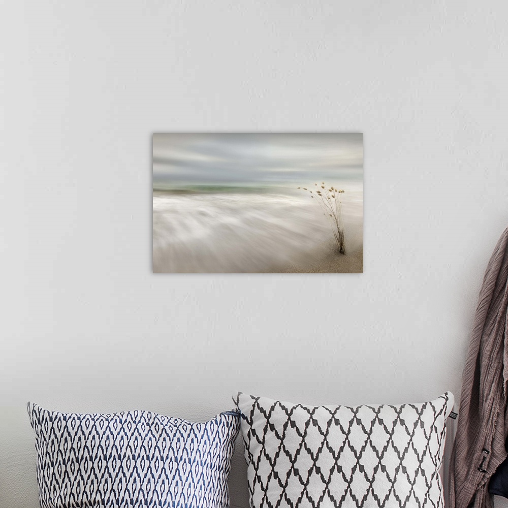 A bohemian room featuring Smooth small waves washing up on shore of a calm beach.