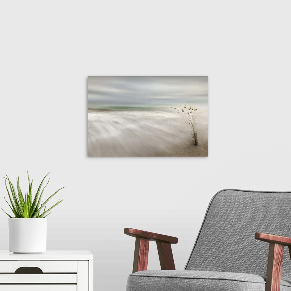 A modern room featuring Smooth small waves washing up on shore of a calm beach.