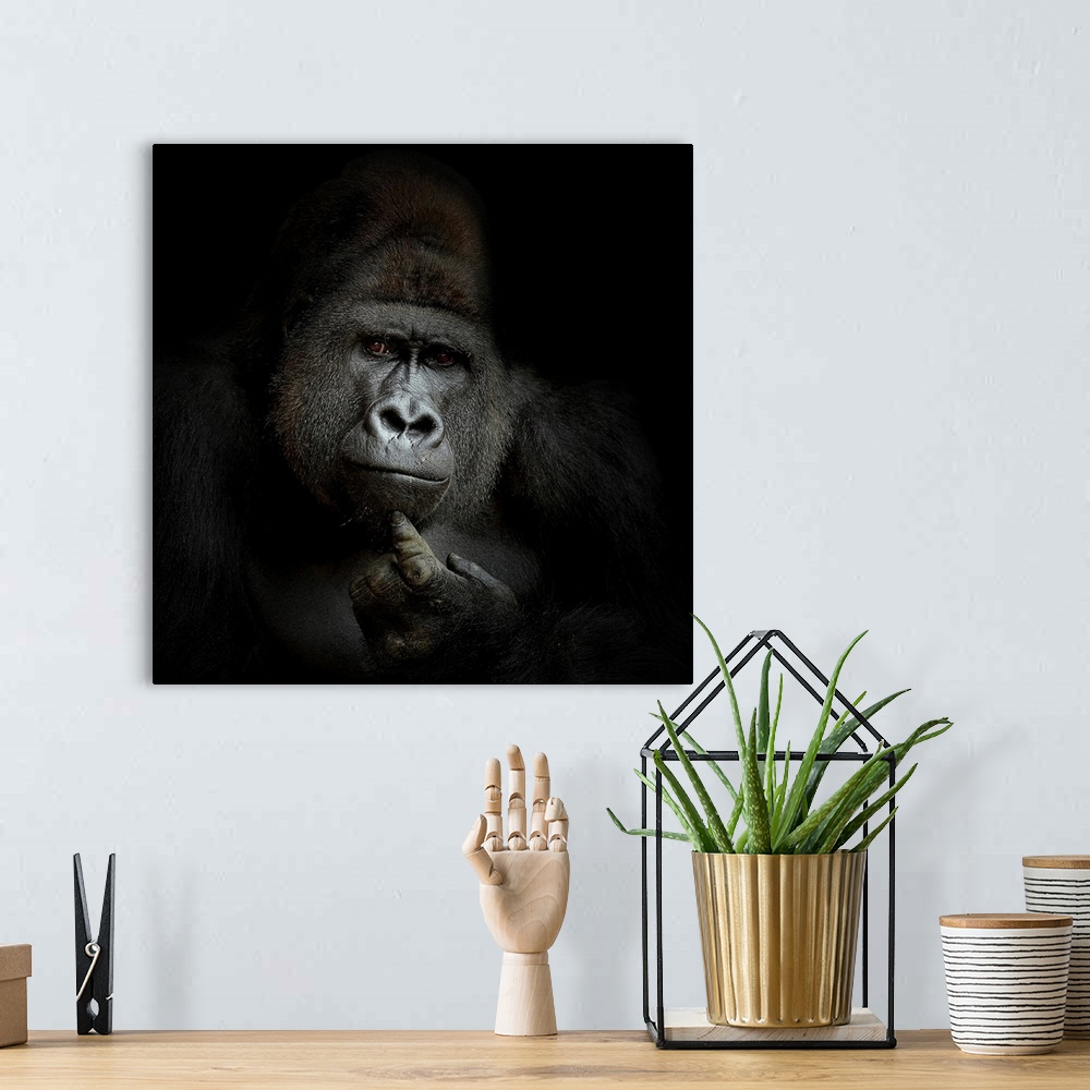 A bohemian room featuring A gorilla strikes a curious thinking pose and expression.