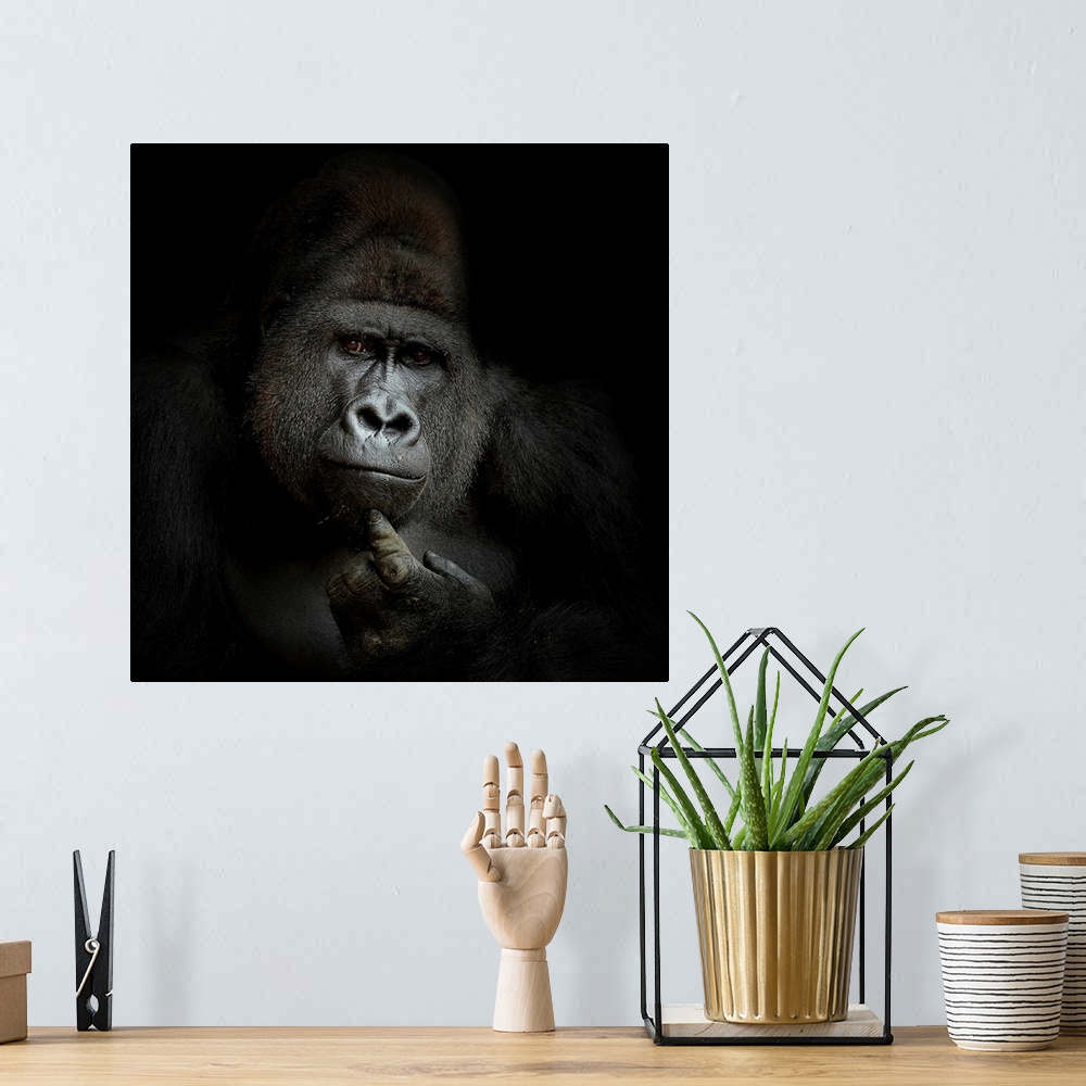 A bohemian room featuring A gorilla strikes a curious thinking pose and expression.