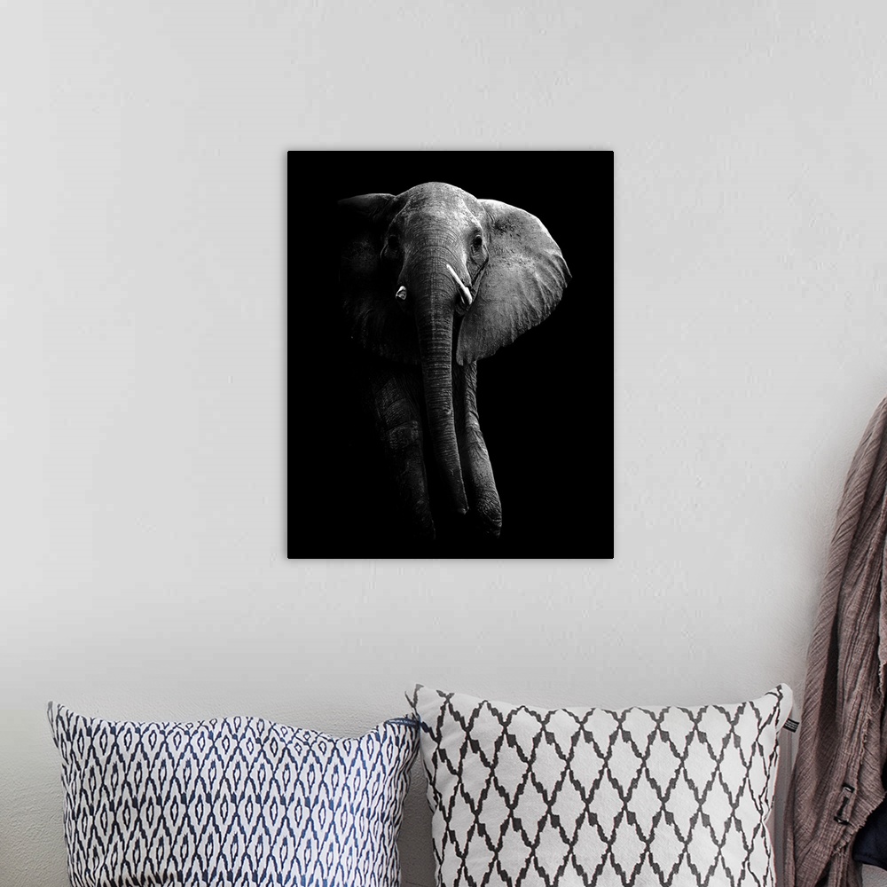 A bohemian room featuring Low-key photograph of an elephant on a black background, highlighting the rough, wrinkly texture ...