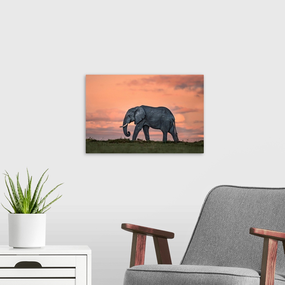 A modern room featuring Elephant At Dusk