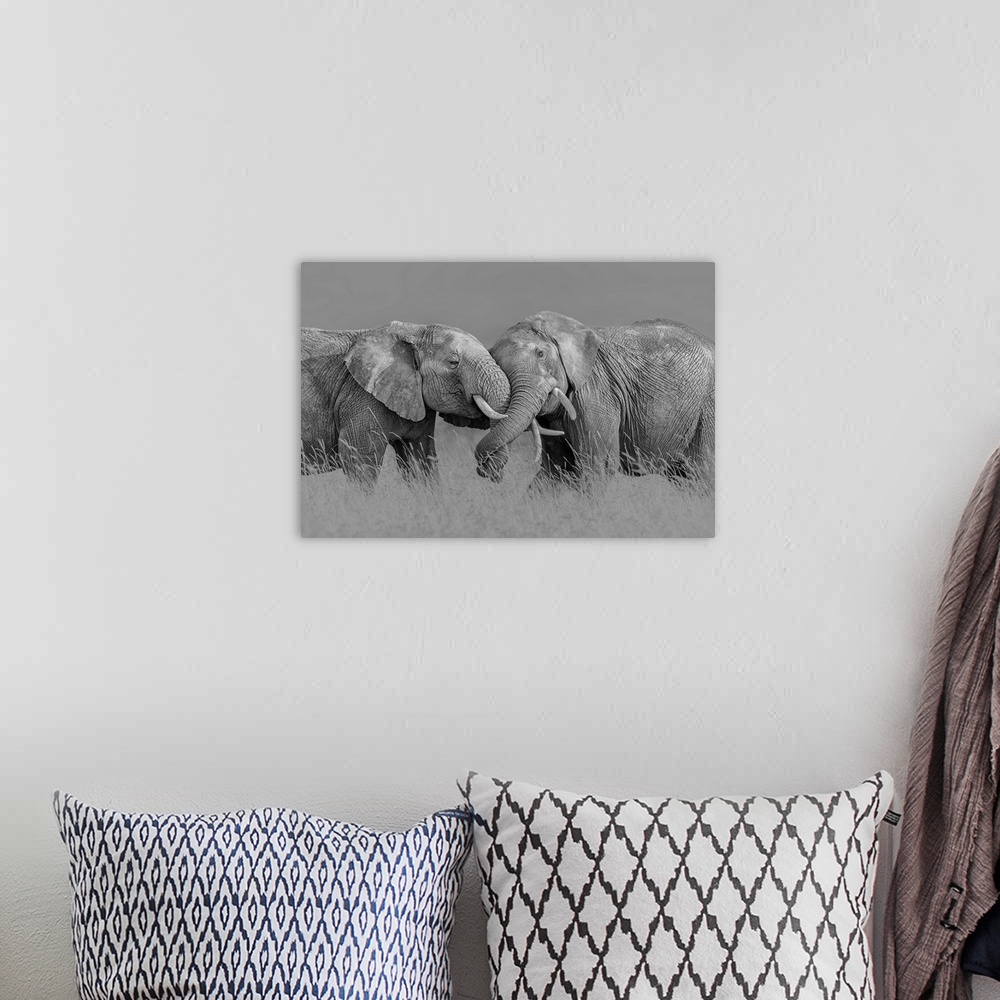 A bohemian room featuring Elephant Flight