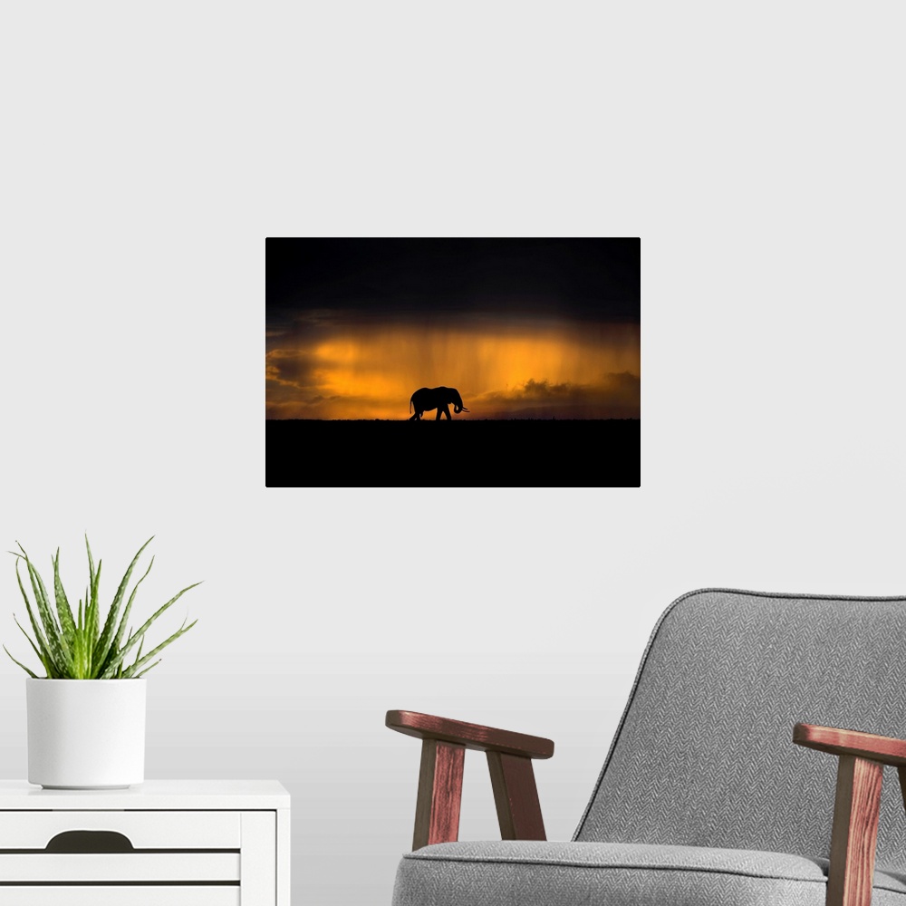A modern room featuring Elephant In A Rain Storm At Sunset