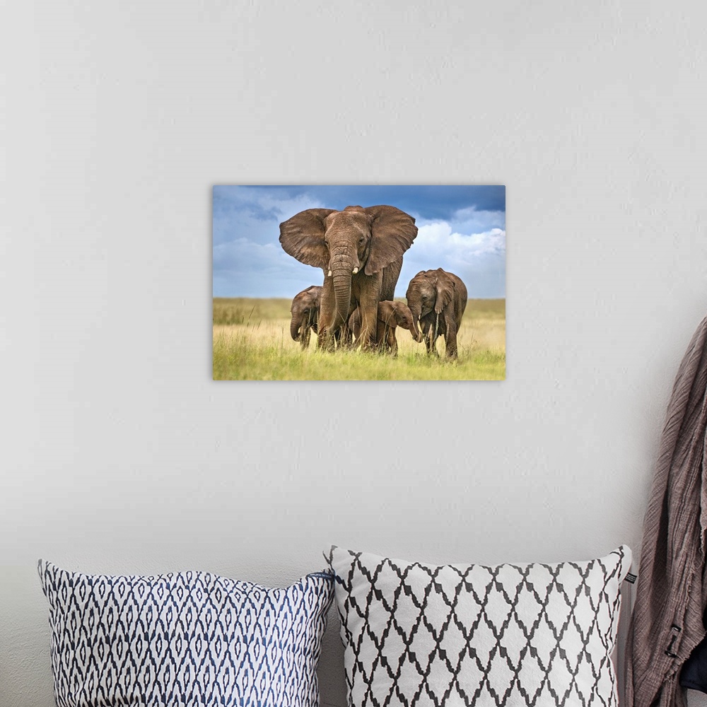 A bohemian room featuring Elephant Mom Protecting Her Calves