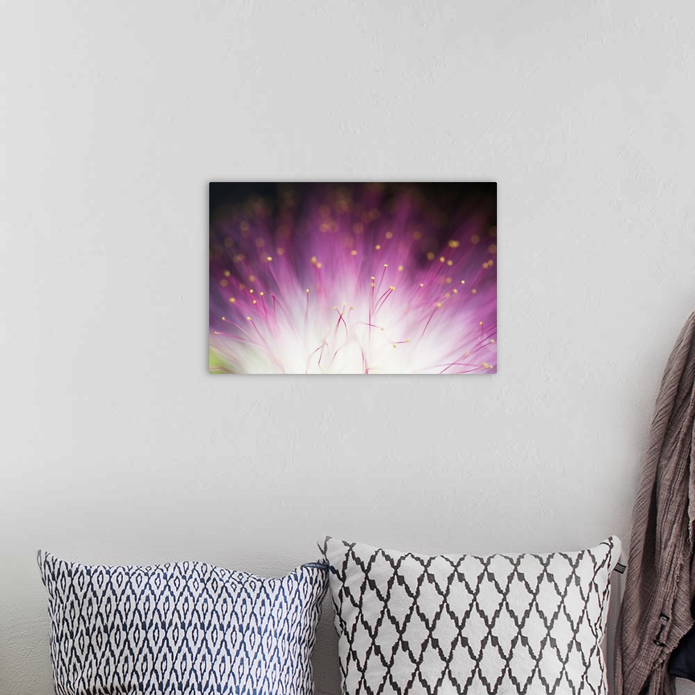 A bohemian room featuring Close up photo of a purple flower with a bright white center.
