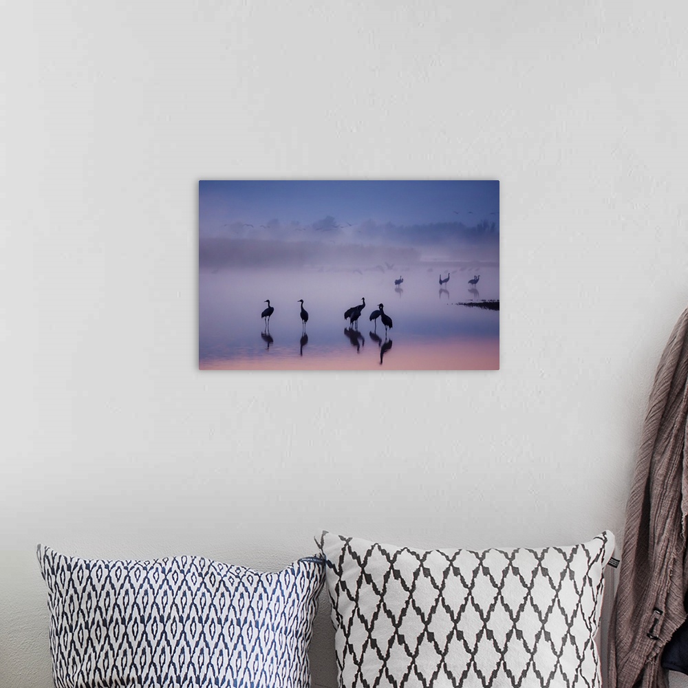 A bohemian room featuring A flock of silhouetted cranes standing in a misty lake, with pastel colored water, at sunset.