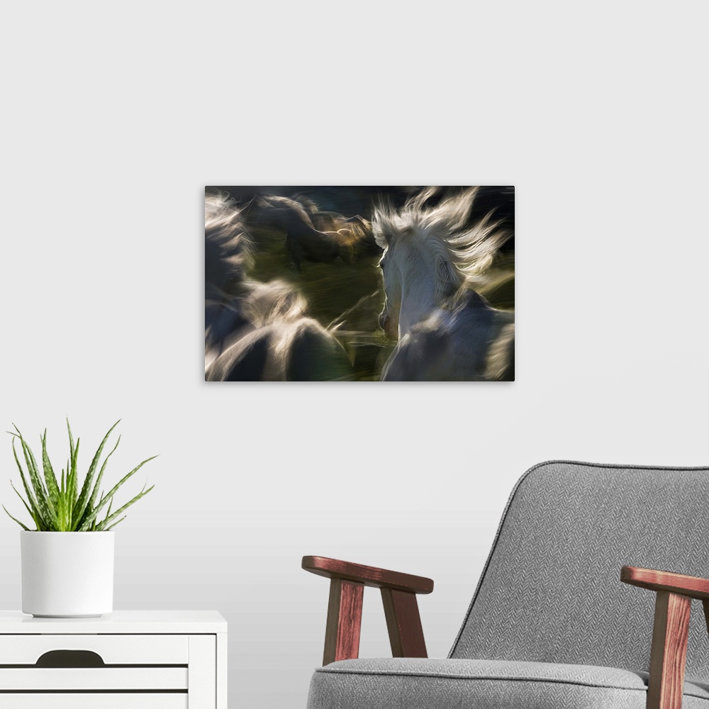A modern room featuring Blurred motion image of a herd of horses galloping in a field.