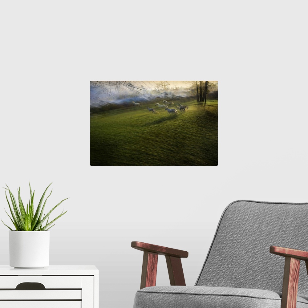 A modern room featuring Motion blurred image of a herd of horses running through an open field.