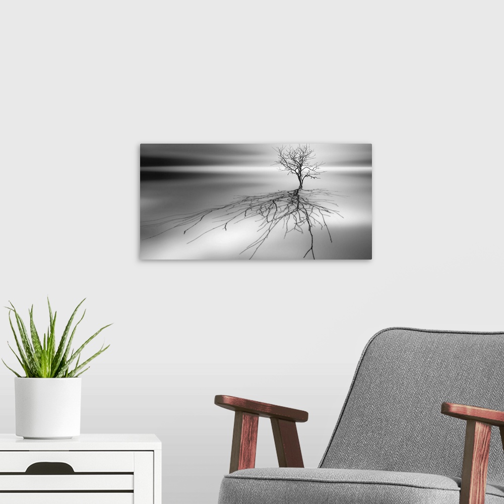 A modern room featuring Conceptual image of a tree with bare branches casting a complex shadow.