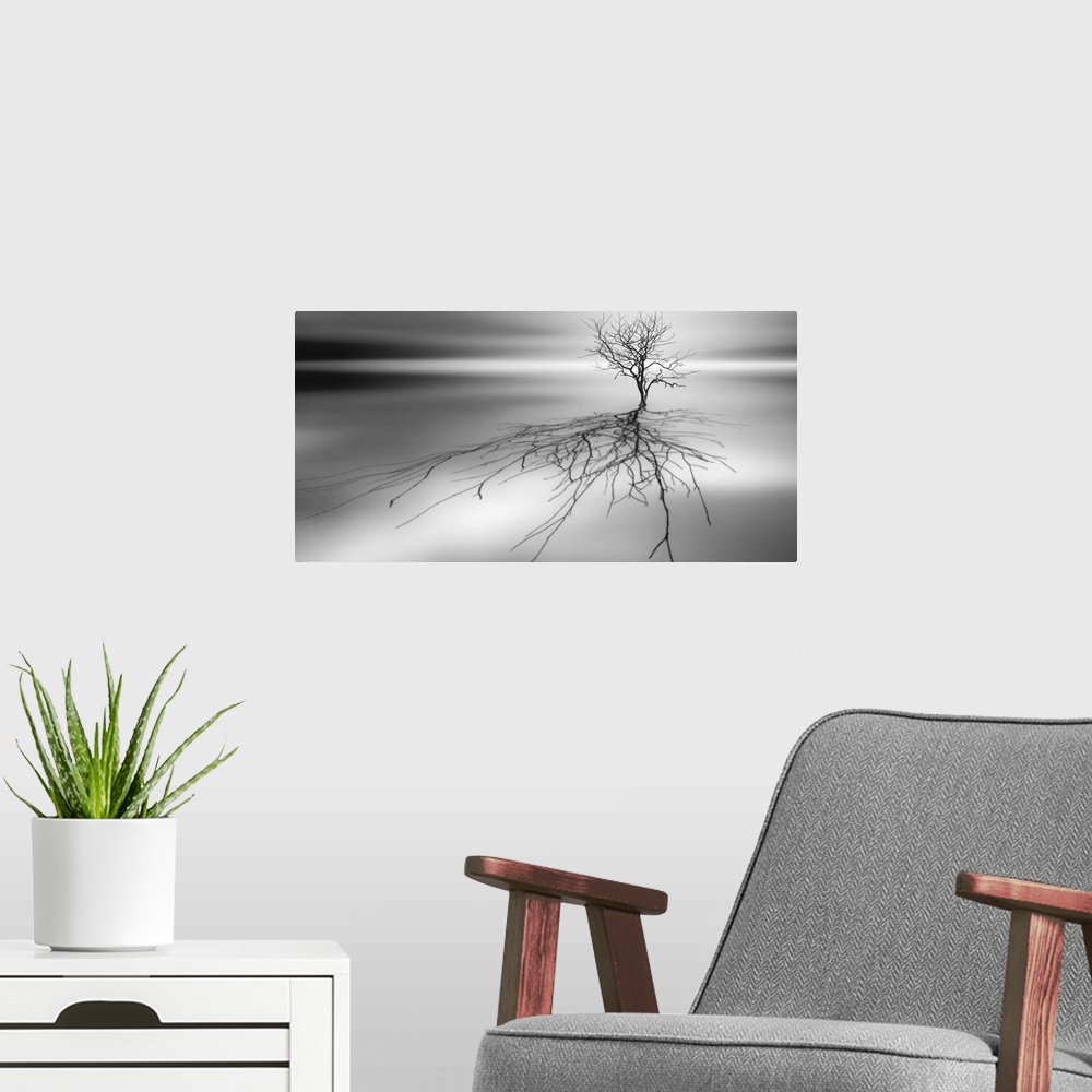 A modern room featuring Conceptual image of a tree with bare branches casting a complex shadow.